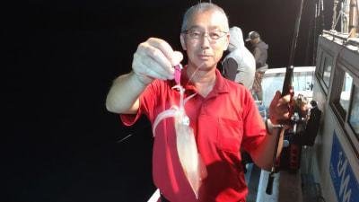 マイカ(ケンサキイカ)