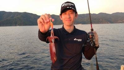 マイカ(ケンサキイカ)