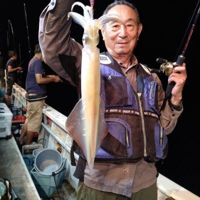 マイカ(ケンサキイカ)