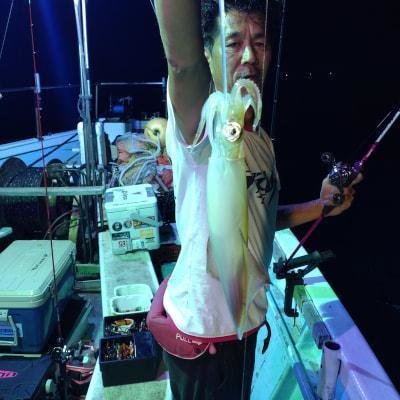 マイカ(ケンサキイカ)