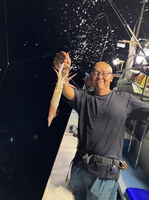 マイカ(ケンサキイカ)