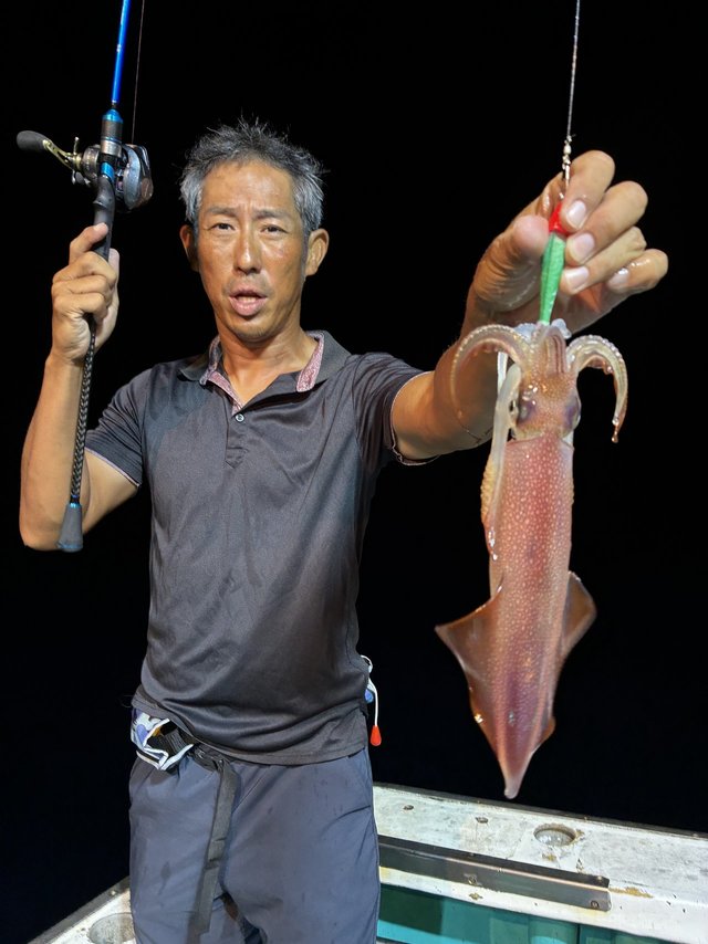 アカイカ(ケンサキイカ)