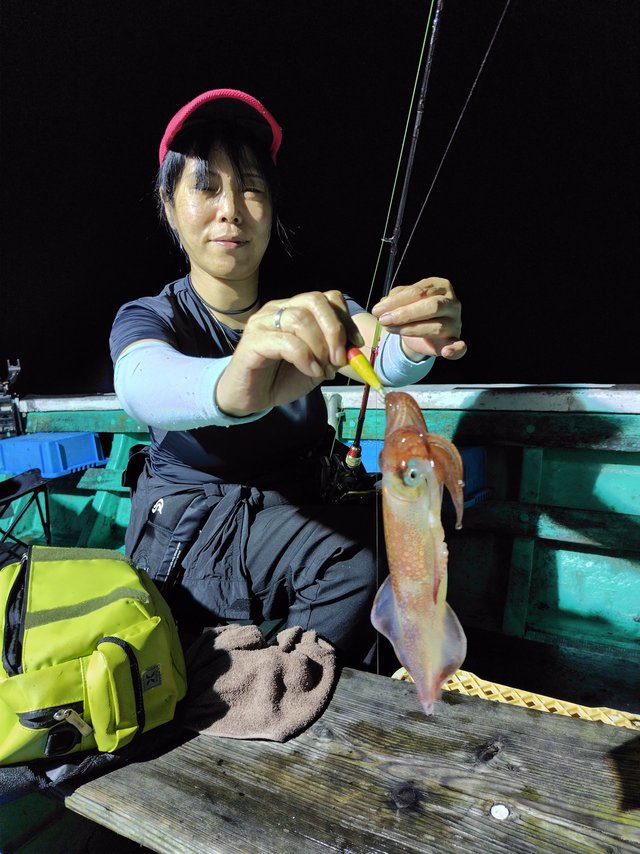 シロイカ(ケンサキイカ)