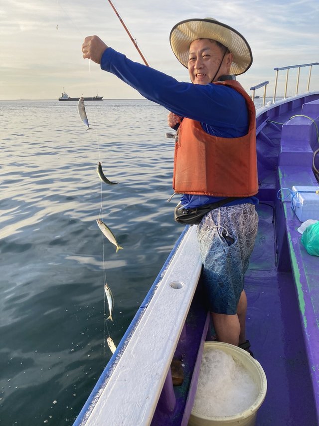 サバ(ゴマサバ)