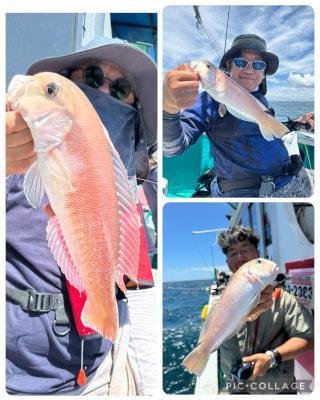 アマダイ(アカアマダイ)