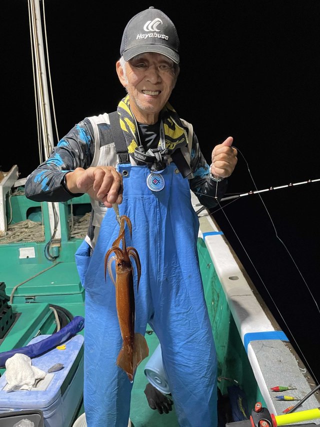 スルメ(スルメイカ)