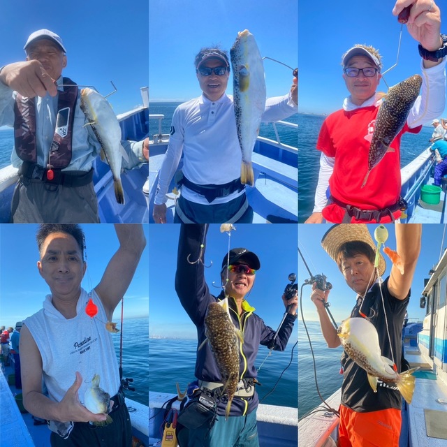 ショウサイフグ