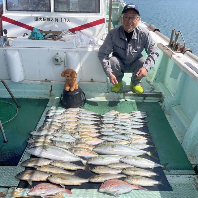 マダイ・マアジ・ツバス(ブリ)・メジロ(ブリ)・イサキ