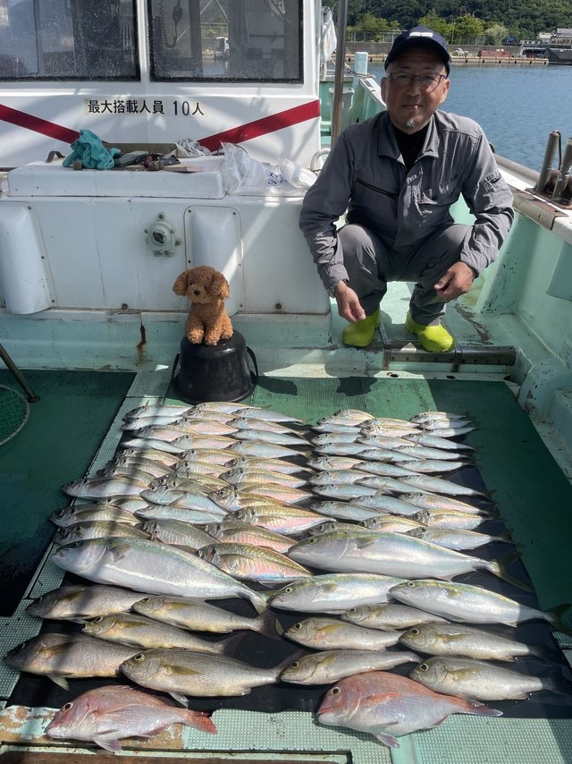 マダイ・マアジ・ツバス(ブリ)・メジロ(ブリ)・イサキ