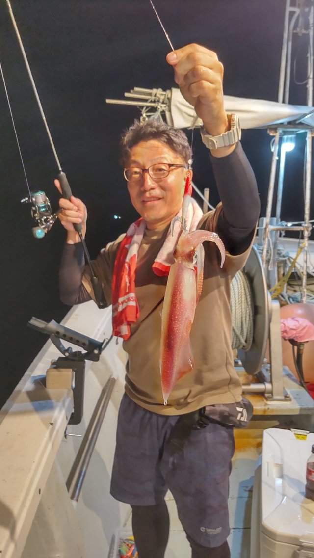 マイカ(ケンサキイカ)