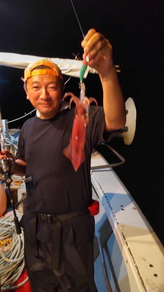 マイカ(ケンサキイカ)