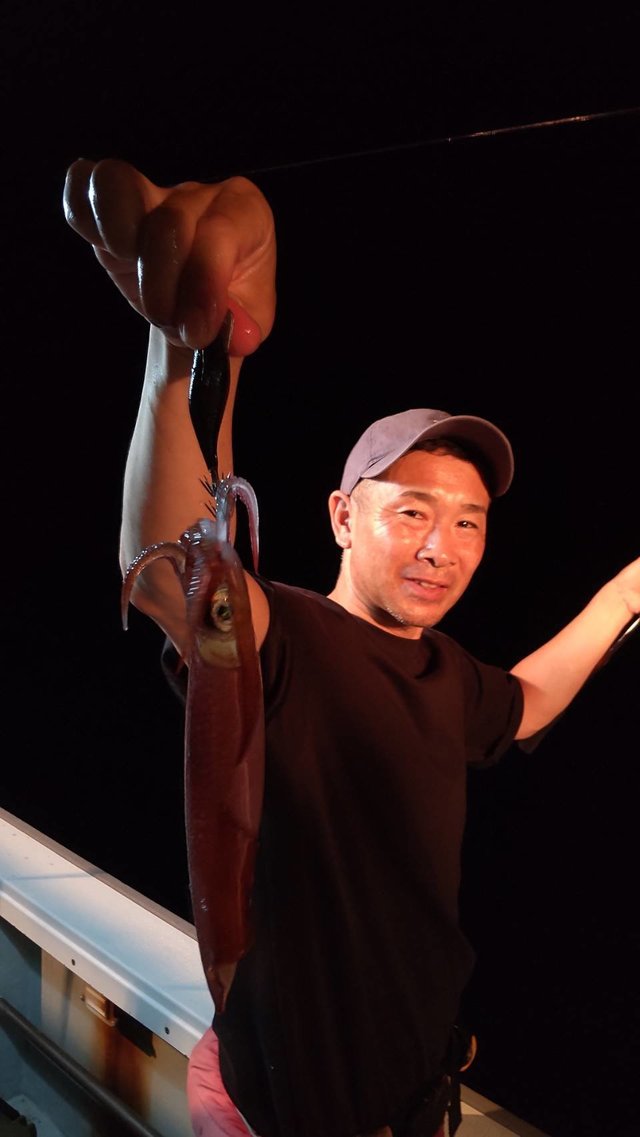 マイカ(ケンサキイカ)