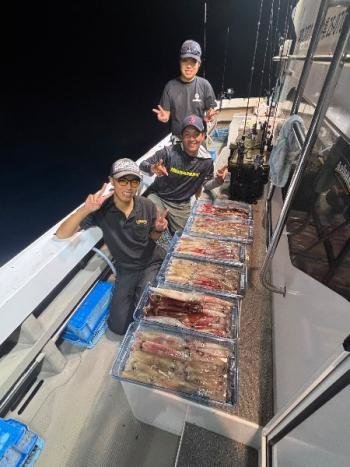 マイカ(ケンサキイカ)