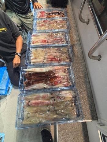 マイカ(ケンサキイカ)