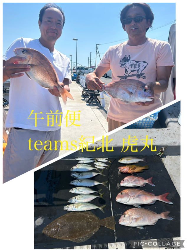 タイ(マダイ)・キジハタ・アジ(マアジ)・イサキ・ヒラメ