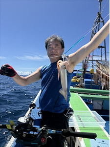 スルメ(スルメイカ)