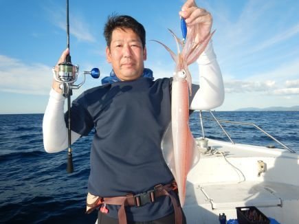 シロイカ(ケンサキイカ)