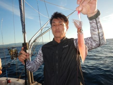 シロイカ(ケンサキイカ)