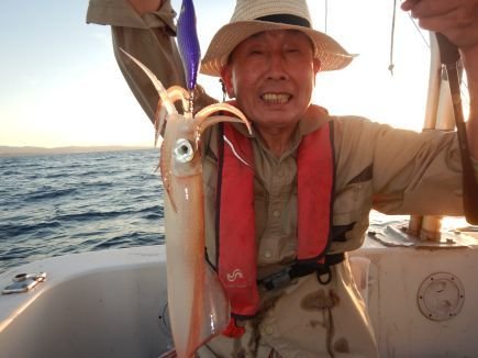 シロイカ(ケンサキイカ)