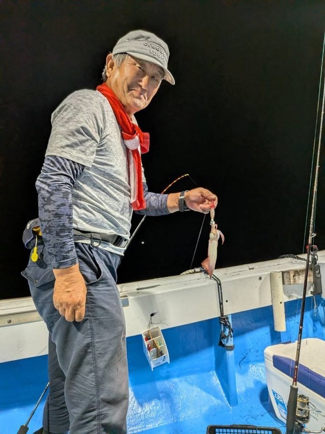 シロイカ(ケンサキイカ)