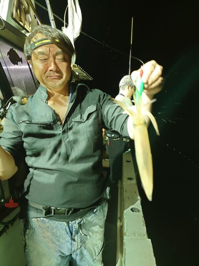 シロイカ(ケンサキイカ)