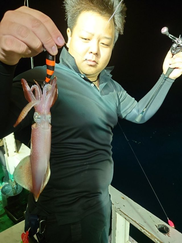 シロイカ(ケンサキイカ)