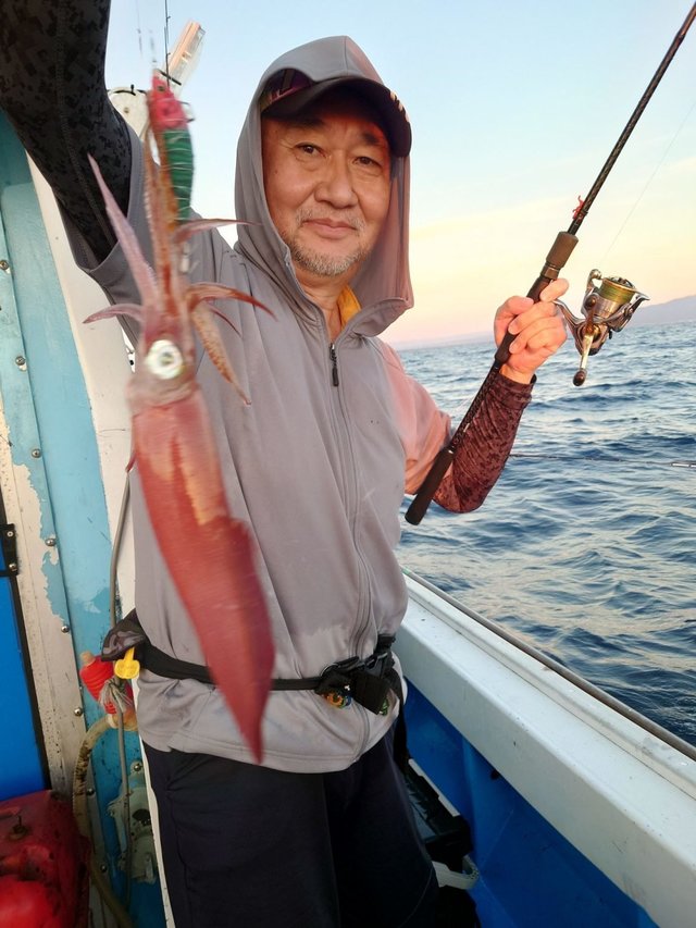 シロイカ(ケンサキイカ)