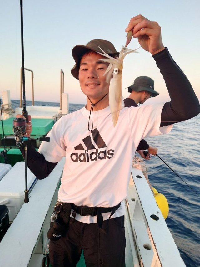 シロイカ(ケンサキイカ)