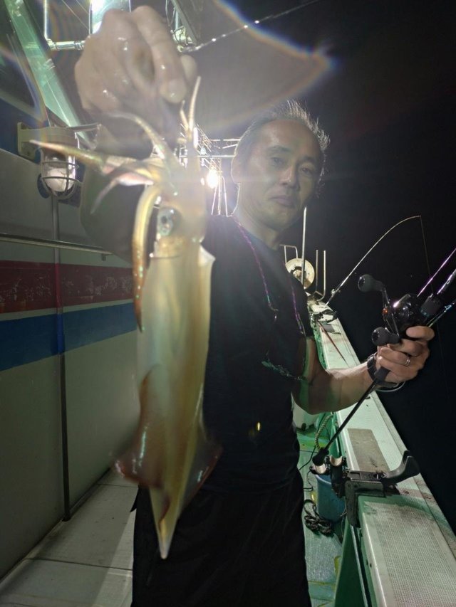 マイカ(ケンサキイカ)