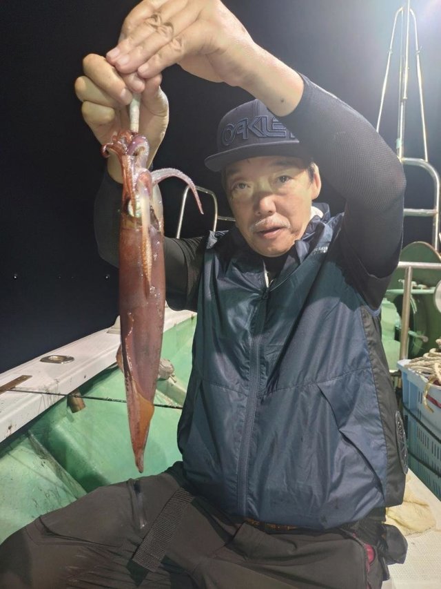 マイカ(ケンサキイカ)