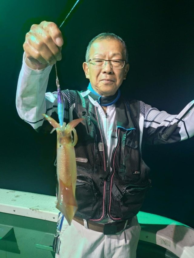 マイカ(ケンサキイカ)