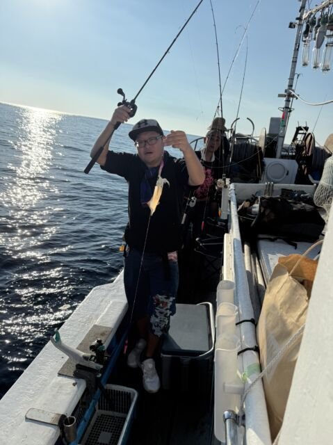 マイカ(ケンサキイカ)