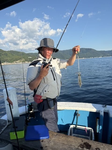 マイカ(ケンサキイカ)