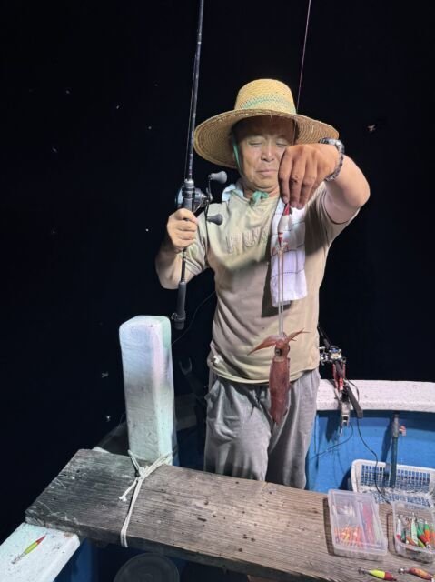 マイカ(ケンサキイカ)