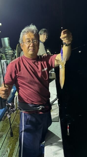 マイカ(ケンサキイカ)