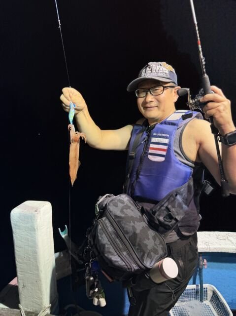 マイカ(ケンサキイカ)