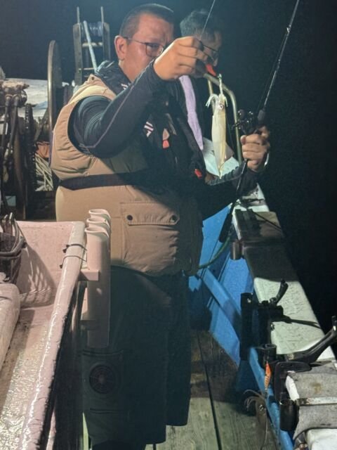 マイカ(ケンサキイカ)