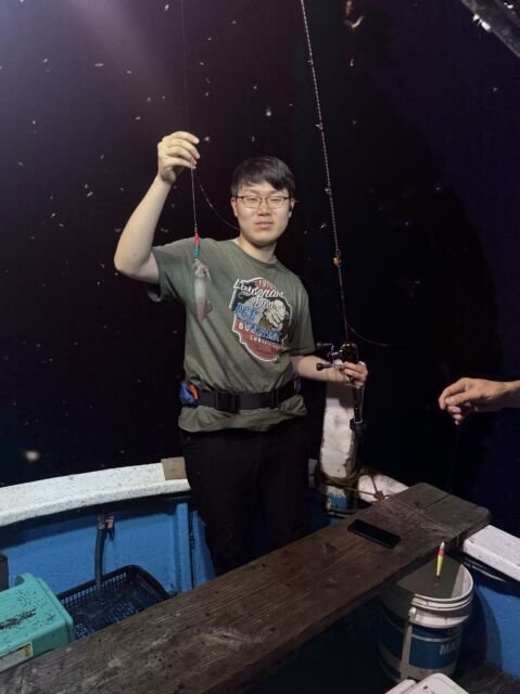 マイカ(ケンサキイカ)