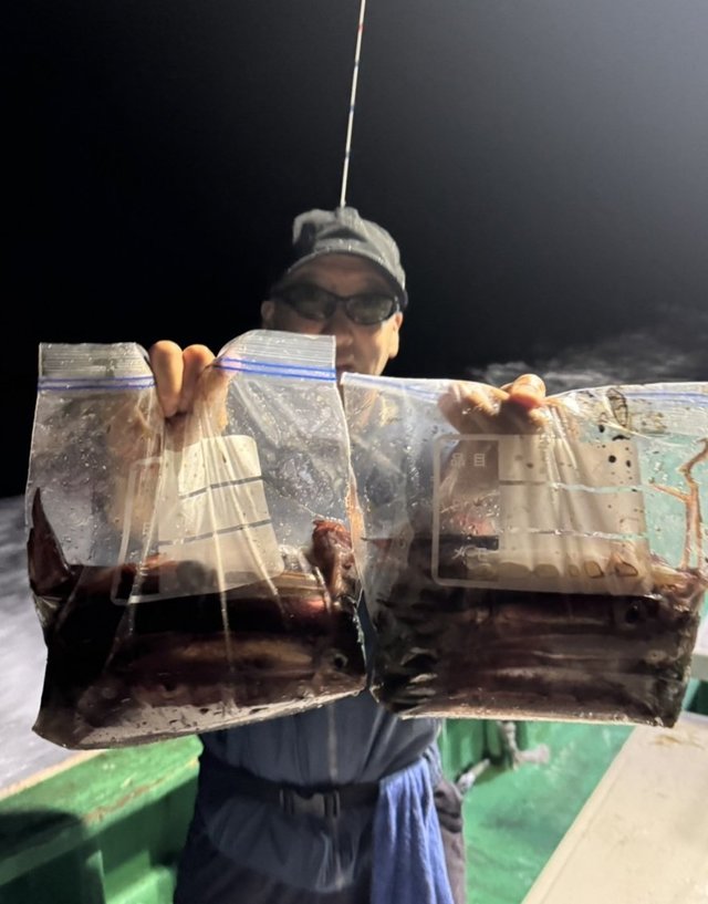 ムギイカ(スルメイカ)・スジイカ