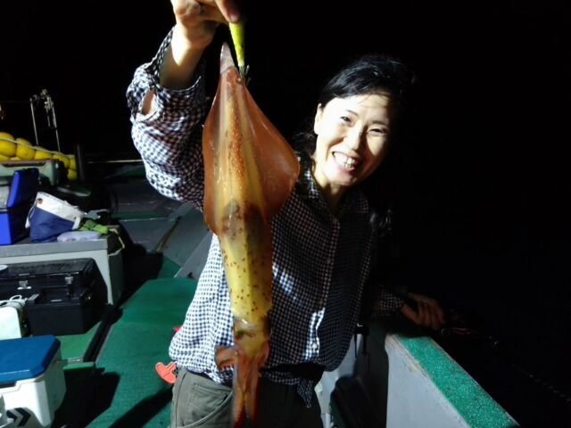 イカ(ヤリイカ)