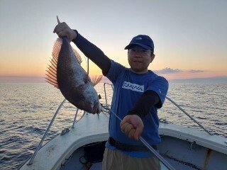 レンコダイ(キダイ)