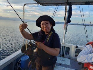 キス(シロギス)