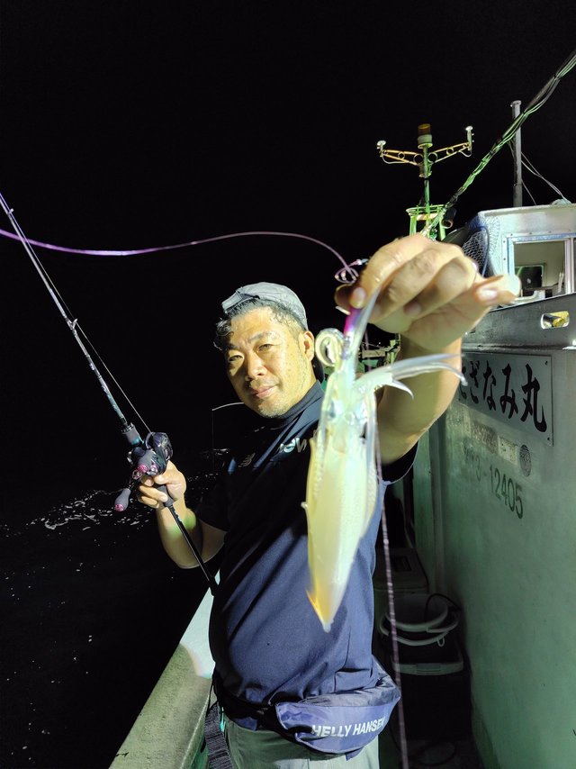 シロイカ(ケンサキイカ)