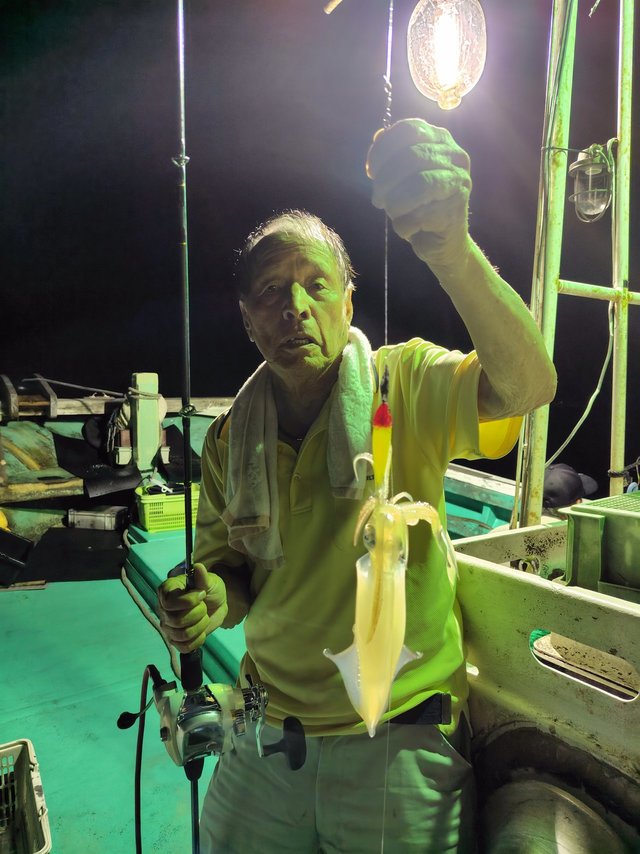 シロイカ(ケンサキイカ)