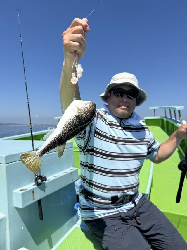 フグ(ショウサイフグ)