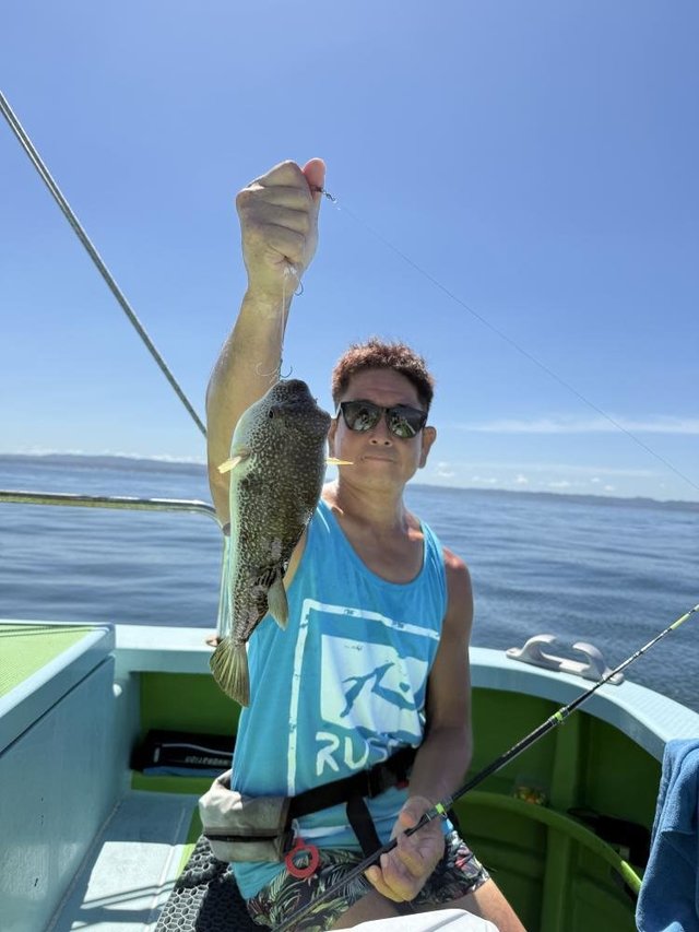 フグ(ショウサイフグ)