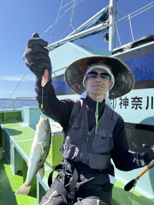 フグ(ショウサイフグ)