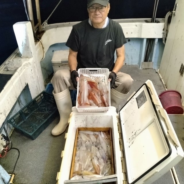 イカ(ヤリイカ)