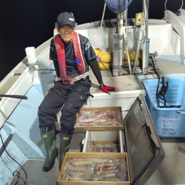 イカ(ヤリイカ)