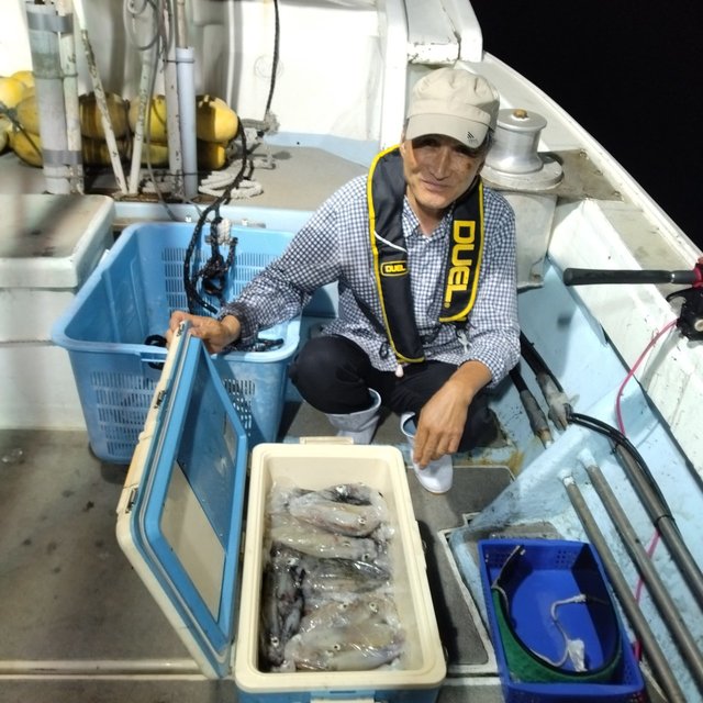 イカ(ヤリイカ)